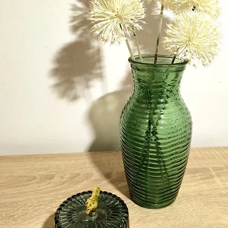 'sima' With Private Bathroom And Free Air-conditioned Summer Kitchen * Sarica Struga